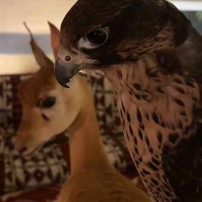 FAM_205's profile picture. 