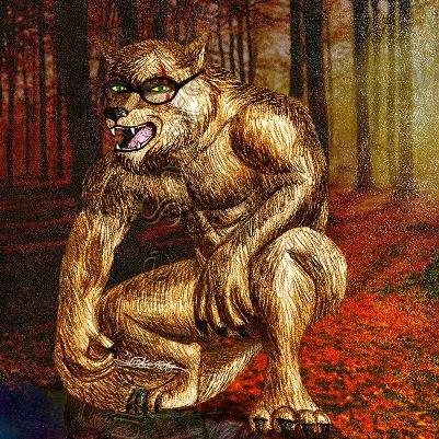 Nokinstars's profile picture. Photographe / Infographiste