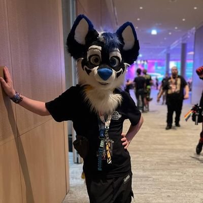 AviorTheHusky's profile picture. PROUD FURRY SINCE 2013 🎉
German Fursuiter 🇩🇪 Lvl. 27 🏳️‍🌈 
Suit by @Paciuloo 
DM friendly https://t.co/RmvzMZfxRX