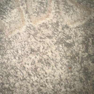 azzzom926's profile picture. 