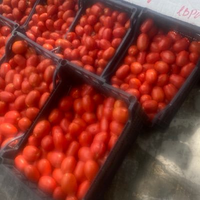 CherryFaves0's profile picture. Right Angled. 📐