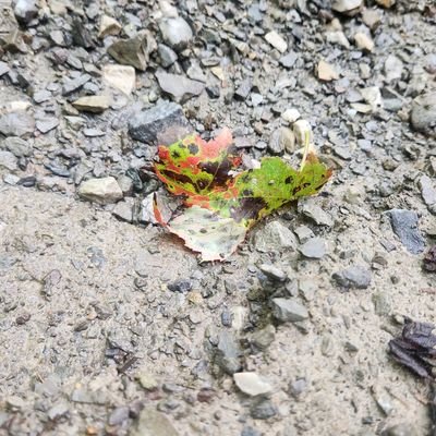 JosephCallihan's profile picture. Who are you?