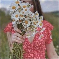 Ophelia (@g9f9vglis4a1c) 's Twitter Profile