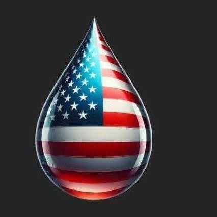 Christian🙏🏻Isaiah 6:8🙏🏻Constitutional Conservative🇺🇸Governing School Board Member🍎Mom to angel Emily😇