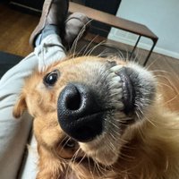 Julia (@adatoniewypada6) 's Twitter Profile