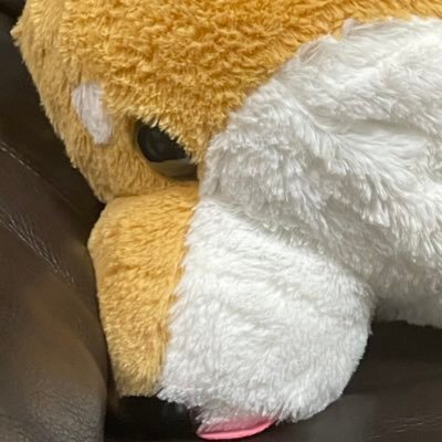 なすたさんのプロフィール画像