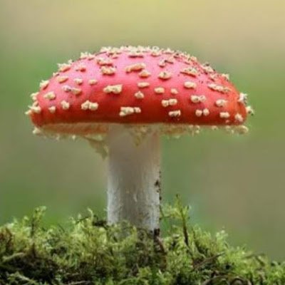 errormachine32's profile picture. 