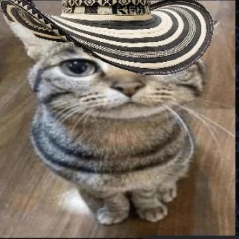 R.I.P Gato Sandía 🕊️| Aimmer-Kvk's 🔶◻️| GD player? | 60hz | Niwa Hardest | 🔗 @idkimjustzx