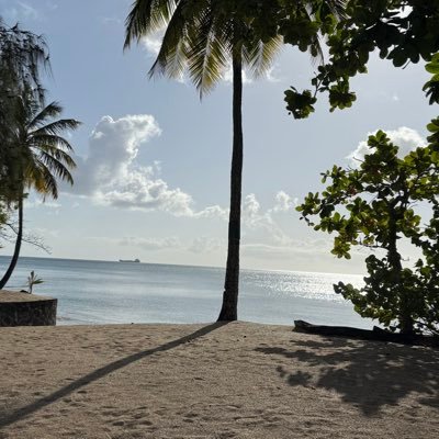 themadeguy16's profile picture. 