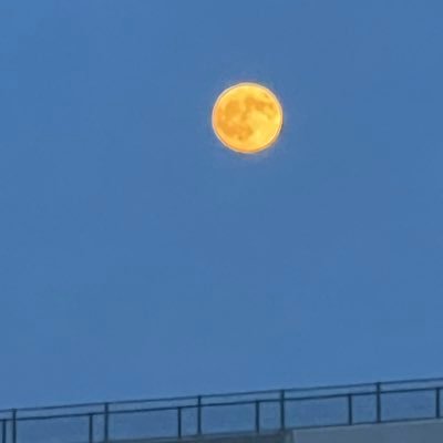 8Jimoto_p's profile picture. 私が癒される為のアカウント