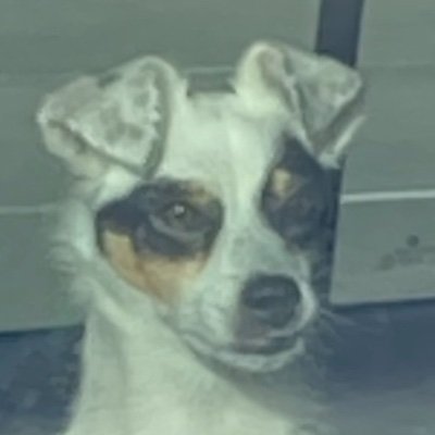 Alinrole's profile picture. 