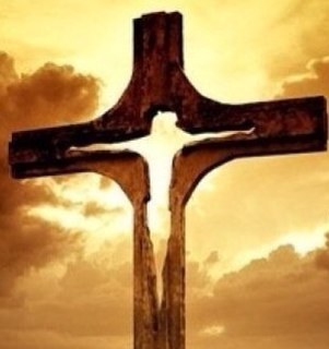 coachdavis9995's profile picture. 