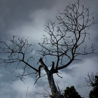 naqi6970's profile picture. 