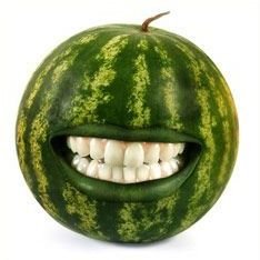 vinnicenko53071's profile picture. Just a person