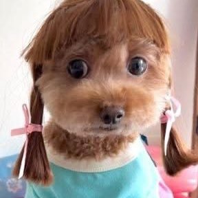 Bianca5672481's profile picture. 