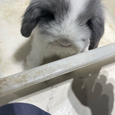 Hanve_'s profile picture. dmgwhdrbr only mMGg