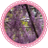 kk_nity0313