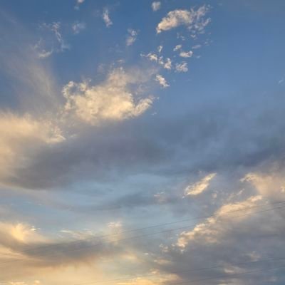 mountainmamaxxx's profile picture. if you're a trumper you can eat shit and die 💗 kisses