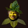 Lemonbalmer1's profile picture. seeds, soil, sprouts and stuff like raw milk enthusiasm