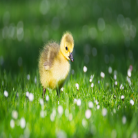 LarryHunt761094's profile picture. Working As A Professional Photographer. My independent and logical nature drives me to pursue pottery, martial arts, guitar playing, soap making in my free time