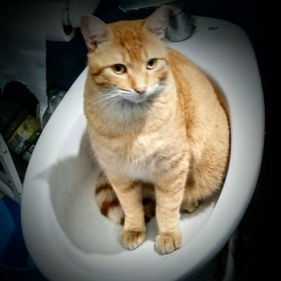 CalesitaArgenta's profile picture. ESTE es un modesto y sereno ESPACIO PARA REFLEXIONAR 💁
-
(Cuenta NO APTA menores 21 años)👺