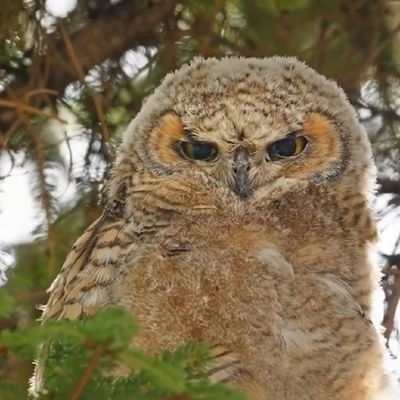 abandon1916's profile picture. 