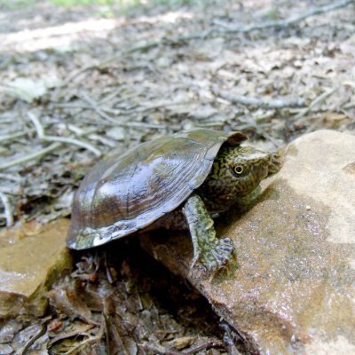 Jasper50129's profile picture. Cozy gamer.