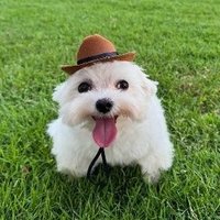ruim (@bornheadless6) 's Twitter Profile