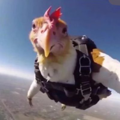 paddypaddypro's profile picture. Jesus is real