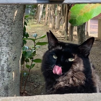 rhiroko's profile picture. Translator／東京下町／好きなのは『ナルニア国物語』、Pet Shop Boys、One Republic、P!nk、テッド・ラッソ、尾上菊之助、ミュージカル他 
メルマガ : https://t.co/E0wdLXkAVw 
訳書一覧：https://t.co/4R7ASAniJN