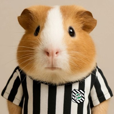Católico, casado e cansado! Figueirense Futebol Clube