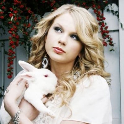 poetguto's profile picture. written by taylor swift.