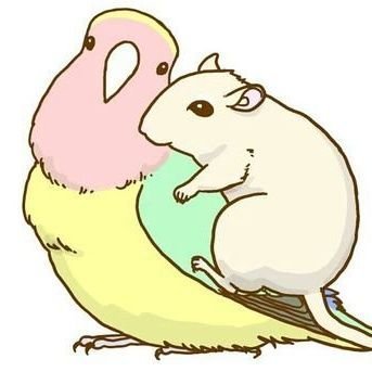 chiba_gelbil's profile picture. 羊毛フェルト作成(お休み中)
ネズミ飼い(お休み中)
時々山に登って写真を撮るよ
2024年ハゼ釣り開始🎣

ニワカで古参なnaotoのfanintiraymi、one ok rock、hanah spring、babymetal サムネは花吉さん ヘッダーはdenchiさんから頂いてます