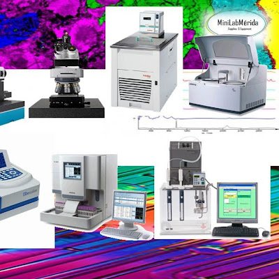 MinilabM37132's profile picture. 