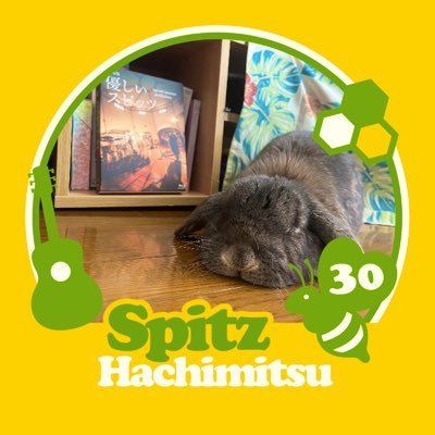 sentaro_sp's profile picture. 低く飛ぶ心を軽くしてくれる、いつでも人生の傍にスピッツ。スピッツに救われまくっているイビツな人間。2017✈︎スピッツベルゲン島上陸。醒めないからロック大陸へ。 1993→/♀/映画/音楽/ドラマ/スピッツ好きな人と繋がりたいので気軽にフォローしてください👻