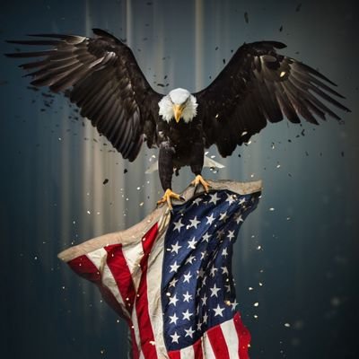 Aldant_Brasil's profile picture. 