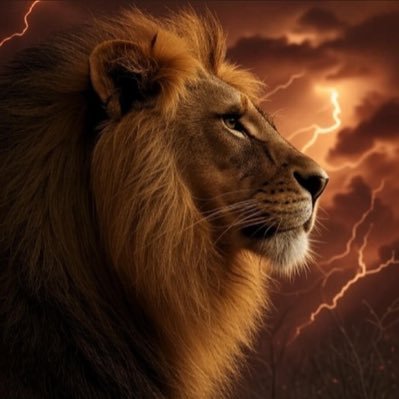 rg7779696's profile picture. no DMs!