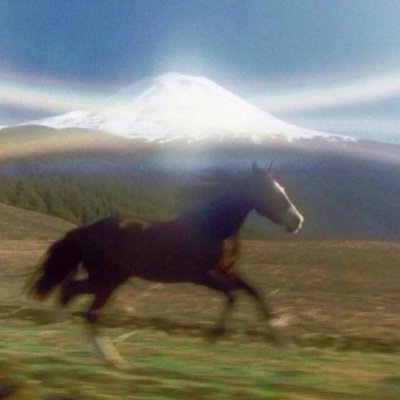 ahnxyz's profile picture. unemployed