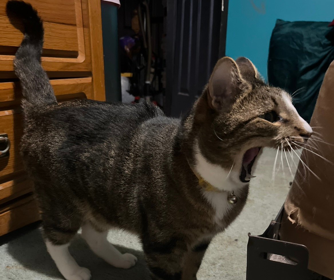 pray4Los's profile picture. 