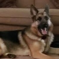 angela denise (@randange64) 's Twitter Profile