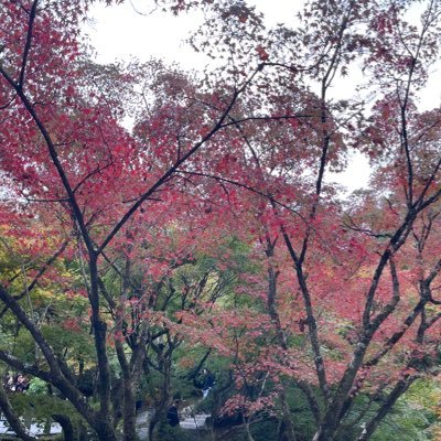 1BdmecQkuo98938's profile picture. 日本に産まれてよかった🇯🇵この先も日本に産まれたことを誇れるように🇯🇵子どもが日本に産まれてよかったと思えるように🇯🇵ただただ子ども達を守りたいだけ🇯🇵