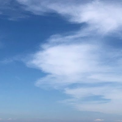 sug112315's profile picture. 
