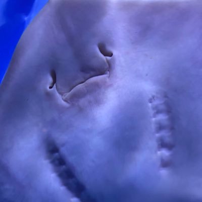 3g1KXxrvRE28423's profile picture. 