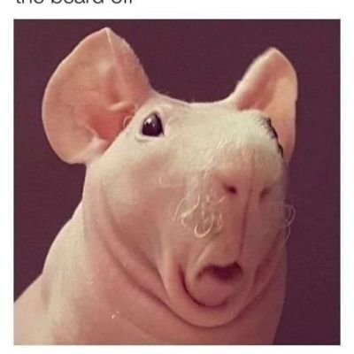 tomppa_45700's profile picture. 
