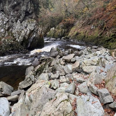 TheAmpleOne's profile picture. Striving to be a Twitter finger. 🙇🏿‍♂️ ❌ #YNWA 🩸