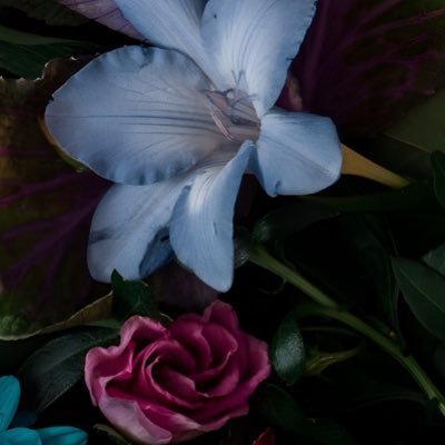 Lovelyyy_Dayy's profile picture. 