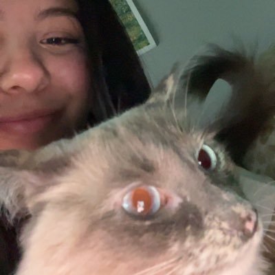 nicholettblanco's profile picture. 