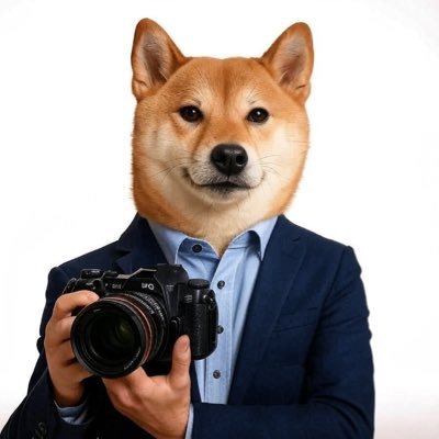 まずは自分が楽しむをモットーにフォトグラファーとして新たな表現を育み作品を形成していく思いを胸に日々是精進しております。不定期にクリエイティブ撮影会を開催中! 万が一誹謗中傷や印象操作が生じた場合には法的手続きをさせていただきます🙏 ご質問や問い合わせはDMにてお待ち申し上げております💬宜しくお願い致します