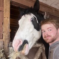 Ryan Lewis (@bororyguy) 's Twitter Profile