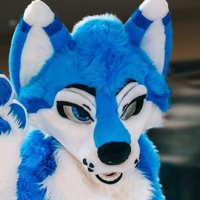 Blue wolf • 23 • INFJ • EMT • Memes, guns, and fluffy boys! 💙